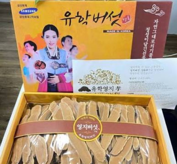 Nấm Linh Chi Cô Gái Hàn Quốc Chính Hãng